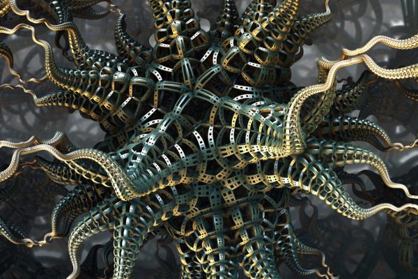 Kraken 11at