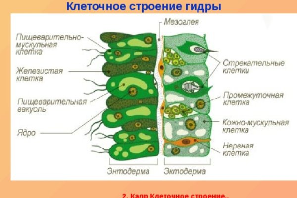 Как найти сайт кракен