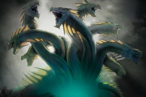 Kraken19 at