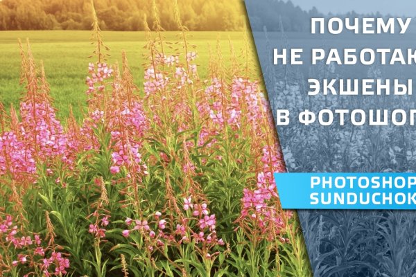 Кракен даркшоп