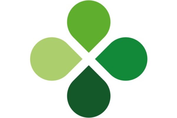 Kraken official
