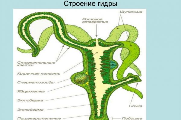 Зайти на сайт кракен