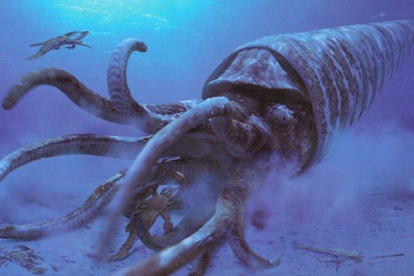 Kraken 25 at