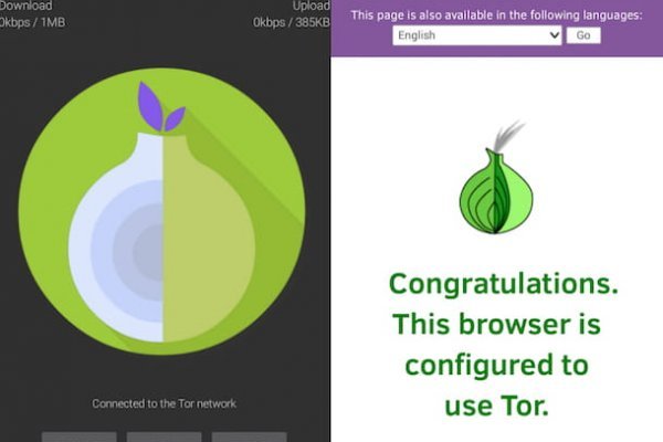 Kraken tor link