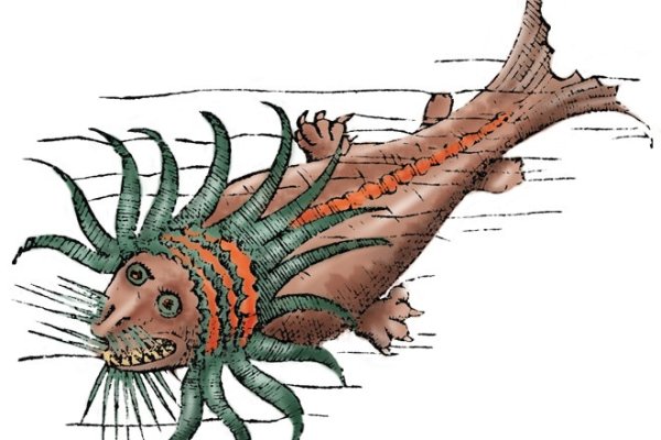 Kraken 13at
