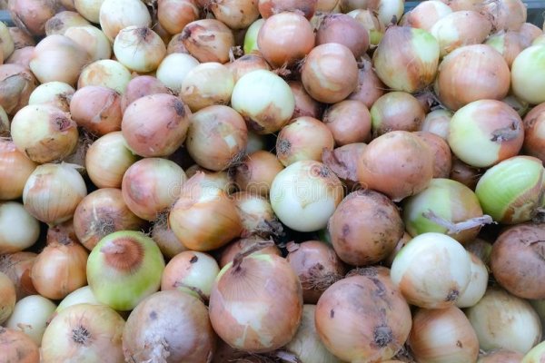 Прямая ссылка на кракен