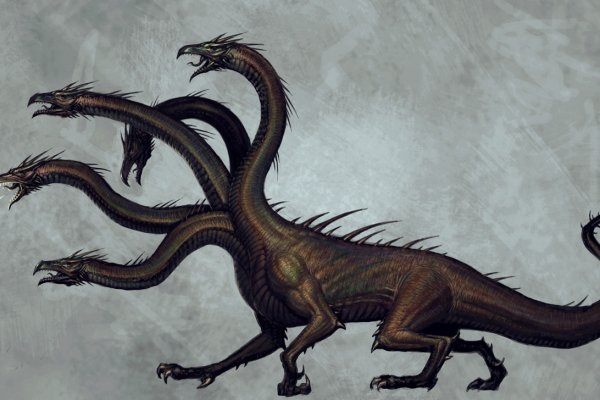 Kraken актуальное