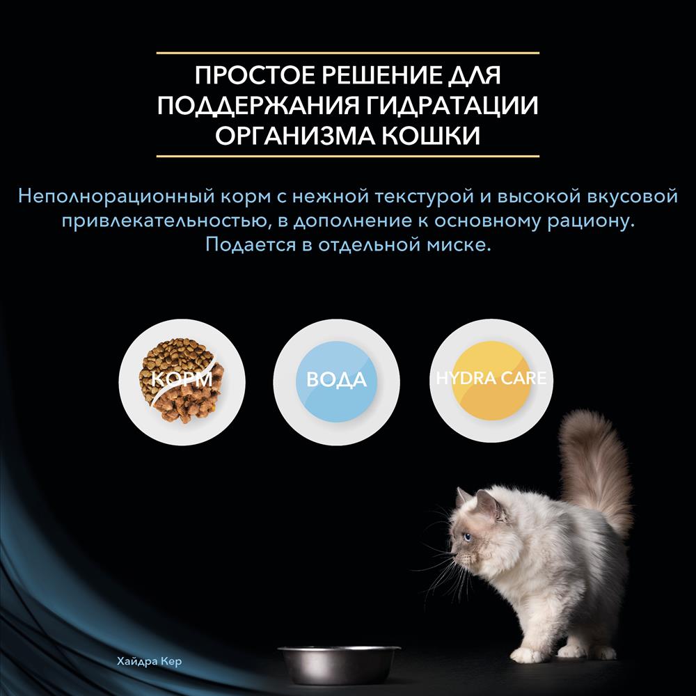 Kraken как найти ссылку